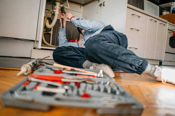 Best Residential Plumbing Services  in Ligh, NE