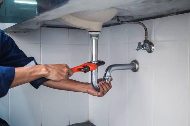 Best Local Plumber Services  in Ligh, NE