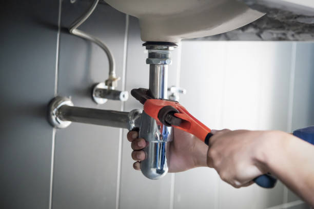 Best Plumbing Inspection Services  in Ligh, NE