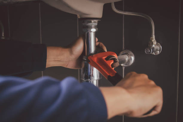 Best Plumbing Inspection Services  in Ligh, NE