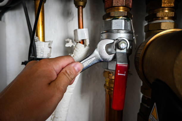 Best Drain Cleaning Services  in Ligh, NE